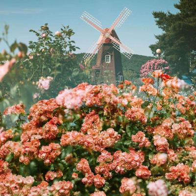 kaiyun官方网app下载app