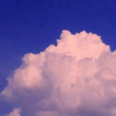 九游会AG手机app下载