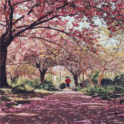 金沙集团186cc成色官方版下载