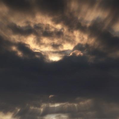 大发彩票手机app下载