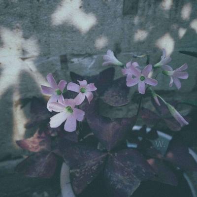 乐鱼娱乐app官网下载